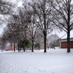looking toward Belk Hall (background) with Bowie Arts Center to the right. photo by Ashley Strickland '17