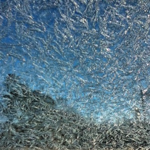 looking out of my ice-covered car window