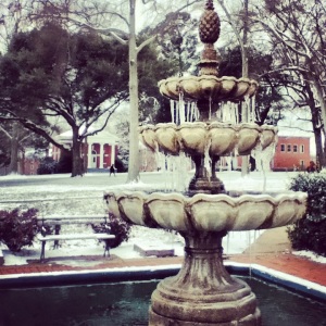frozen fountain!