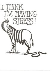 stress...